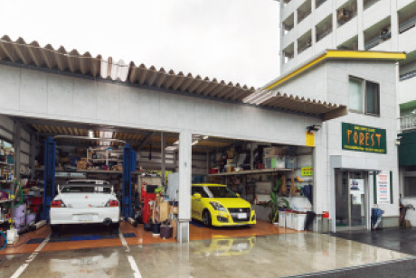 DRIVER’S CAFE FOREST