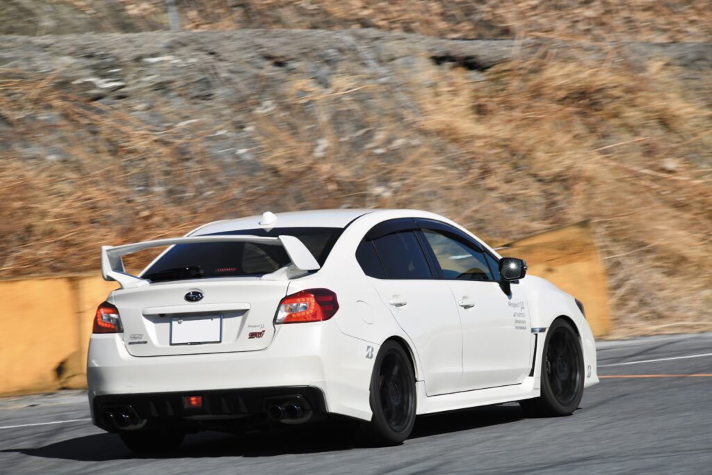 蒲公英 ph-A - REVSPEED