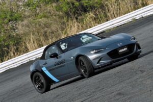 【プラフ必読ry☺︎】 プラフ必読ry☺︎】 ライト プラス 4 / LITE PLUS 4 （ブラック